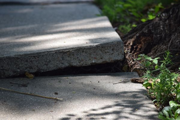 Sidewalk Leveling in Tacoma
