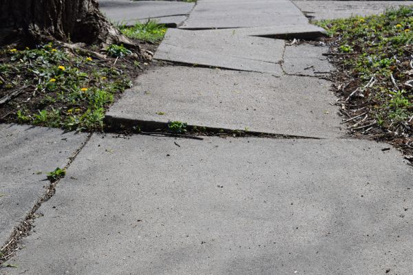 Sidewalk Raising in Tacoma